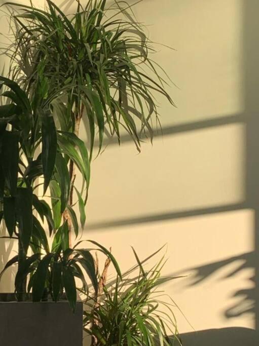 Format Stays Coliving Appartement Los Angeles